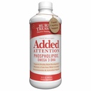 Buried Treasure - Added Attention - Children's Learning Support with GABA DHA Vitamin B and Herbal Blend - Aid Healthy Brain Functions - Improved Short-Term Auditory Memory Focus & Behavior 16.54 oz