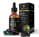 Angel Vitamins山 - B12 基本三重奏 - Vegan 亚语言投放高敏甲基B12,B6 & Folate - 易吸收液体 - 非GMO,美国制造