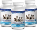 狗失禁女性-DOG URINARI TRACT支持 - 自然冷冻溶液 - BLADDER HEALT - VET推荐 - 狗的蓝莓健康粉 - 3瓶(270份)