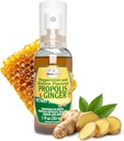 蜂生命 Propolis Throat Spray – Soothing Honey & Ginger Propolis - 天然免疫支持 & Sore Throat Relief, 抗氧化剂,富于Flavonoids & Artepillin C,无糖,无糖 - 1-Pack, 30ml