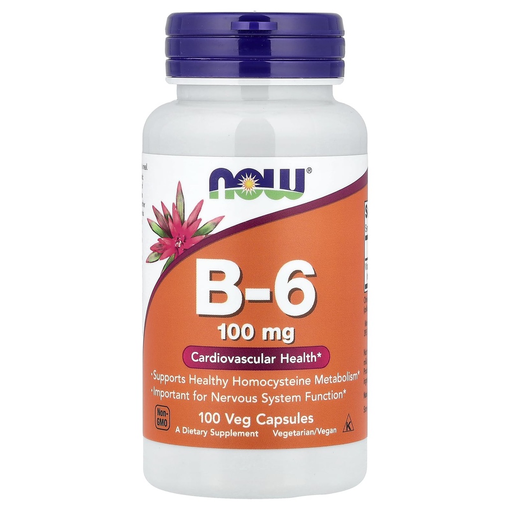 现在食品 B-6 100mg 100 capsules