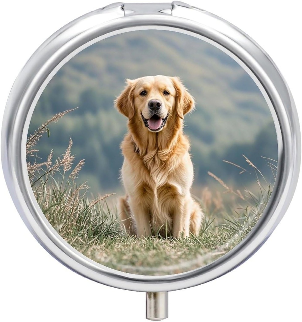 圆丸盒 金 Retriever 狗 打印 3 比较 小药盒 便携式旅行药盒 持有补充维生素 鱼油药