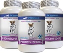 狗痢疾缓解症-PROBIOTICS for Dogs - 健康GUT - 停止毒气腹泻和坏呼吸 - 消化剂 - 狗的亲生素和消化酶 - 3瓶(180 治疗)