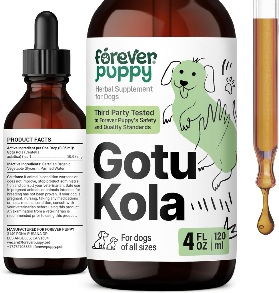 永远小狗 Gotu Kola Drops for Dogs - Gotu Kola 提取 & Centella Asiatica for Brain Health Support - 全育狗和大小狗的营养性大脑补充 - 4 oz