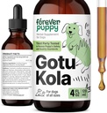 永远小狗 Gotu Kola Drops for Dogs - Gotu Kola 提取 & Centella Asiatica for Brain Health Support - 全育狗和大小狗的营养性大脑补充 - 4 oz