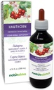 Naturalma Hawthorn (Crataegus oxyacantha) 叶和花无酒精丁香 - 6.76 fl oz 滴水液提取 - 草药补充 - Vegan