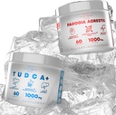 TUDCA+ Fadogia Agrestis  Liver 辅助盐,提高能量、性能和肌肉质量的抽取(60 Capsules)