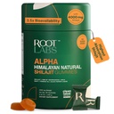 10-in-1 Alpha Shilajit Gummys → 40000 mg 纯喜马拉雅 Shilajit, Tongkat Ali, Maca Root, 75% Fulvic酸 → ShilAbsorb 生物利用率技术 → 无糖 Vegan, 85+ 履带矿物 → 60 包装