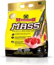 MAMMOTH 质量:重量增益器,高卡路里蛋白蛋白 平滑工作摇摆,替代食材,低糖,Whei Isolate 集中,Casein蛋白混合剂,高蛋白(Strawberry,5lb)