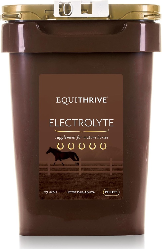 等效马电解丸、维生素和矿物补编、用于培训和竞争的Equine饲料用品、10磅、50天供应
