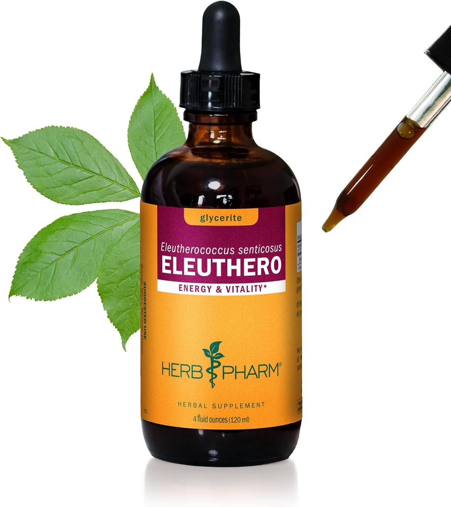 草药 Eleuthero 根液化甘油换能量和Stamina,无酒精甘油,4 Ounce