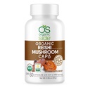 (原始内容存档于2019-09-26) (英语). Reishi Mushroom Capsules 60 Vegan Adaptogen Capsules for Immune Support and Response Responsibility USDA 认证,非GMO,自然健康增刊.