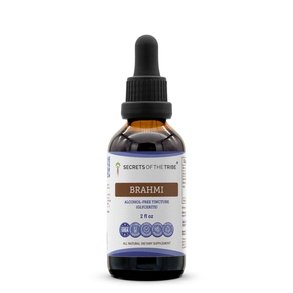 Brahmi Tincture 无酒精提取物的秘密, Brahmi (Bacopa Monnieri) 2 oz