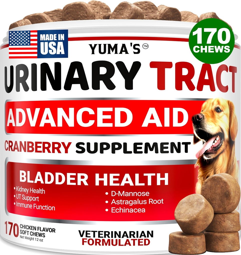 狗UTI治疗 - 170 治疗 - 狗的Cranberry补充剂 - Bladder控制剂 - 尿道感染治疗 - UTI药物 多维他命 - 维生素和补充剂 - 美国制造