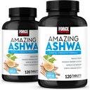 Ashwa,KSM-66 Ashwagandha 压力救济、焦点、记忆、免疫支持、维生素、矿物和抗氧化剂、妇女科蒂索尔补充剂,240张平板电脑(2-Pack)