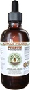 非洲樱桃 Py无酒精液体提取,非洲樱桃ge(Prunus Africana) Bark Glycerite天然草药补充剂,夏威夷药典,美国