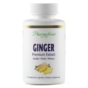 Paradise Herbs Premium 姜汁提取用于消化健康,超级吸附剂,超纯度,Vegan,Non-GMO,Gluten Free,60 蔬菜卡普尔