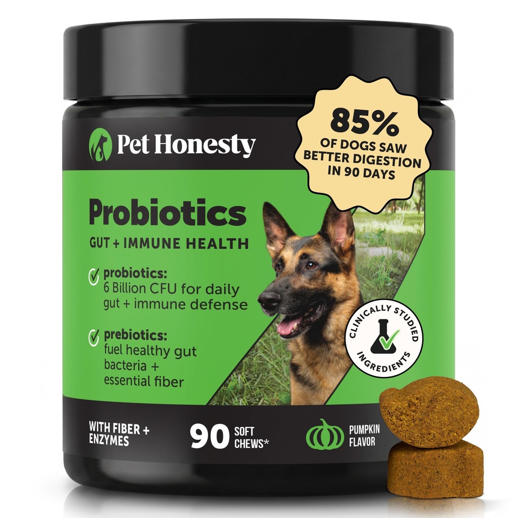 Pet honesty probiotics for Dogs for偶发腹泻和Bowel Support,消化酶与预生酶 for Gut Health for Dogs, 豁免健康与伊奇救济(南瓜90厘米)