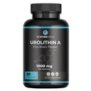 Urolithin A + 黑辣椒膳食补充剂 -- -- 每服1 000毫克,60个蔬菜罐头