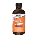 NNO Supples, CoQ10 液体,每Teaspoon100毫克,辅酶B 维生素,Sweeted with Xylitol, 4-Ounce