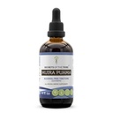 Muira Puama Tincture无酒精液体提取物部落的秘密,Muira Puama (Ptychopetalum Olacoides) 干巴克(4 FL OZ)