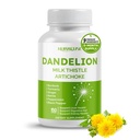 Dandelion Milk Thetle Artichoke Burdock Turmeric - 支持肝脏健康,支持消化援助 - 在美国制造和试验