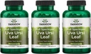 Swanson Full-Spectrum Uva Ursi Leaf - 草药补充剂 支持肾脏和尿道切除术健康 - 可能支持心血管系统功能和Bladder健康 - (100 Capsules,每包450mg) 3 Pack