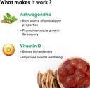 Ashwagandha Vitamin D Gummys 帮助提高力量、能量和豁免权。