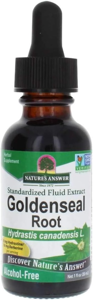 Nature's Answer Golden Seal Root Extract Alcohol Free 1 Ounce | Natural Immune Booster | Promotes Lung Health