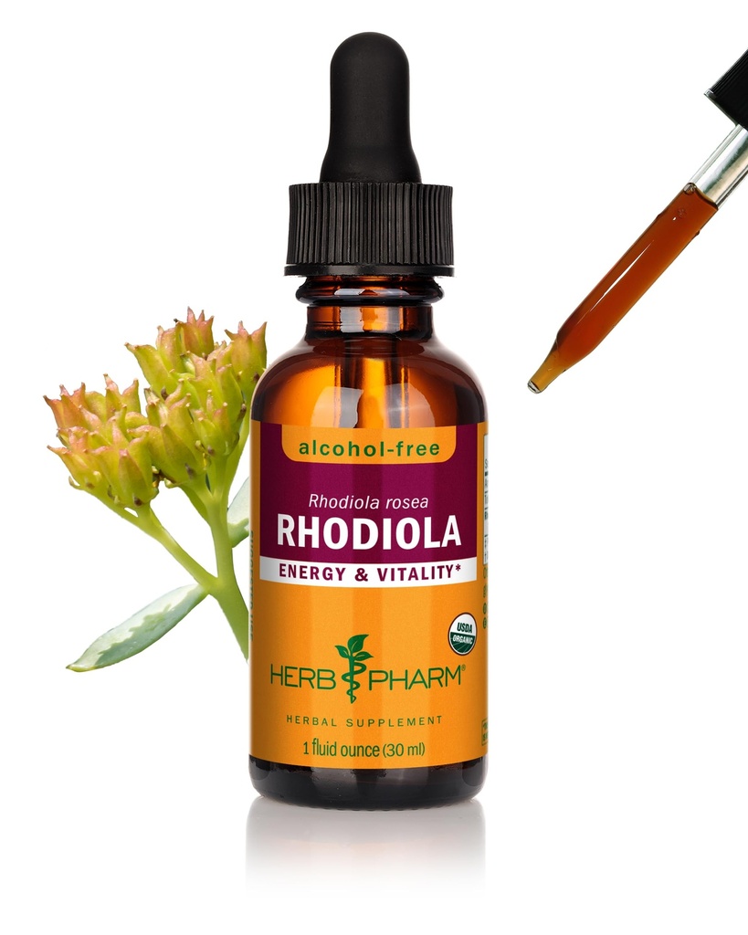 草药认证有机Rhodiola根提取剂,用于能源、耐力和Stamina,无酒精甘油,1 Ounce