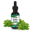 Nature's Answer Nettle Leaf 1oz Extract QQ前列腺素pot 专注的暗绿色Nettle Leaf 草药补充 QQ Non-GMO,Kosher,Gluten-Free, & 酒精无 QQ 单数