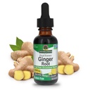 Nature's Answer Ginger Root 酒精自由 1 Ounce 支持胃功能 Vegan 蔬菜自由