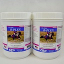 SU-PER B-Plex 粉末 Equine 维生素 - 完整的B-Complex 马用维生素和矿物补充 - 健康胡蜂,红血细胞,马用镇静粉 - 2.5英镑(2包)