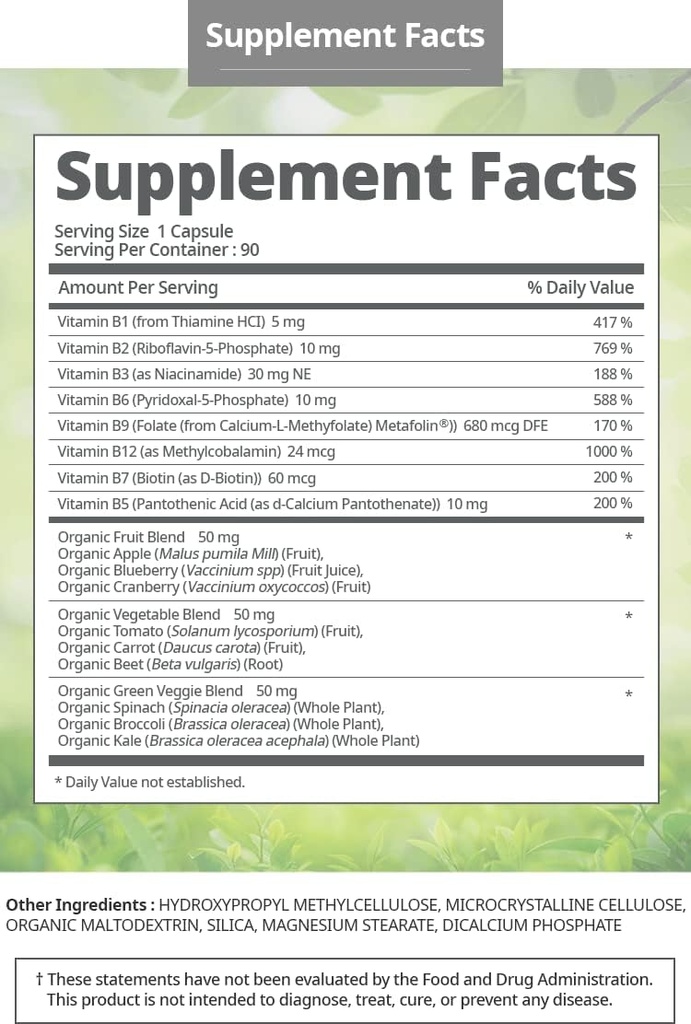 人体维生素B 复合体 Vegan Gluten 自由非转基因生物