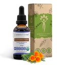 加州Pappy Tincture无酒精液体提取物 加州有机罂粟(Eschscholzia Californica) 干根(2 FL OZ)