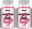 2 Packs 2000mg Ginkgo Biloba Gummys - Ginkgo Biloba 大脑健康支持、改善模具和焦点、能源、成人、草莓火焰120