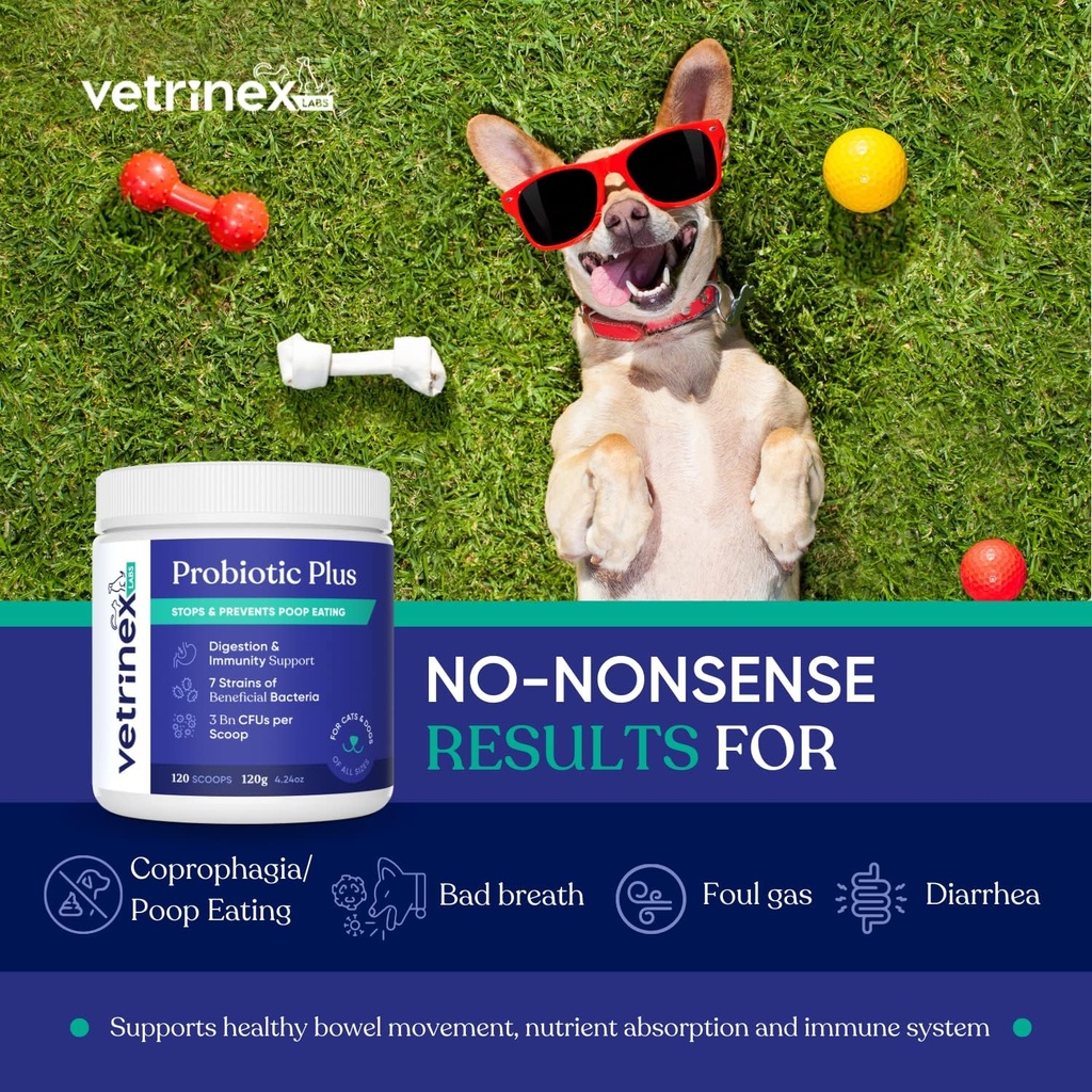 Coprophagia Pop Eating Deterrent & Prevention, Stop & prevention Stool Eating 治疗 - 狗,猫和小狗的抗生素 - 食用小狗的抗生素 - Probiotic Powder(120 GMS)