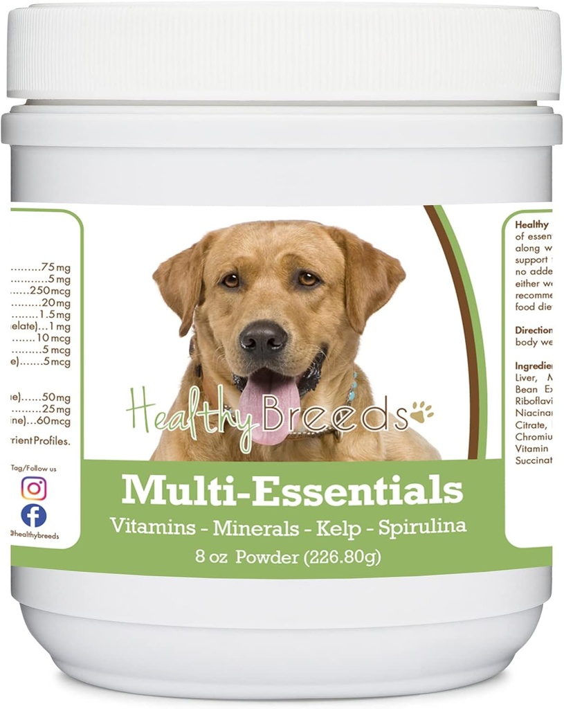 健康育苗 Labrador Retriever, Golden, Multi-Essiciouss Power for Dogs - 一种理想的维生素、矿物和抗氧化剂补充剂,用于你的狗 - 8 oz