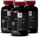 锻炼补充剂 -- -- NITRIC OXIDE BOSTER -- -- 男子氧化氮补充剂、氧化氮助推剂补充剂、耐力补充剂、耐力助推剂、锻炼支持、健身能量