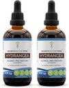Hydrangea Tincture无酒精液体提取物(Hydrangea arborescens)干根(2x4 FL OZ)的秘密
