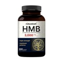 NatureBell HMB 3,000 mg Pervice QQ 300 Capsules, 3X 三强 HMB Beta-Hydroxy Beta-Methylbutyrate 补充 – Lean Muscle Mass & Recovery Support – 非GMO