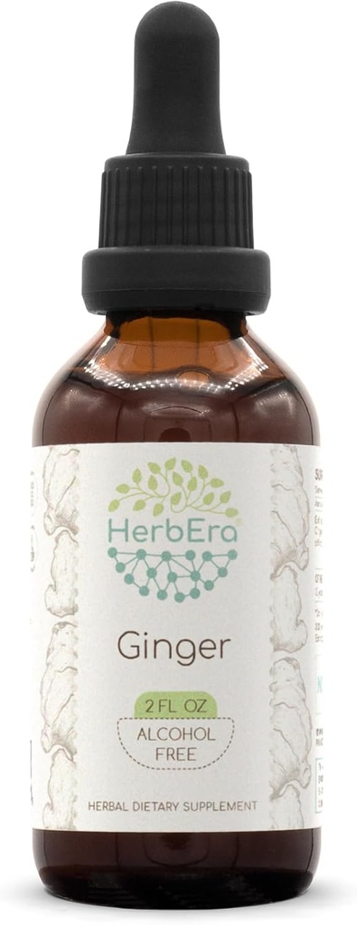 HerbEra 姜 B60 无酒精草药萃取剂 Tincure, 超浓缩姜(Zingiber officinale) 2 fl oz