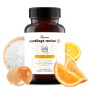 Upwellness Cartilage Review + 男女联合支助补充剂,联合体的II型Collagen-D-Glucosamine Sulfate,MSM,维生素D3,维生素C和60 Capsules