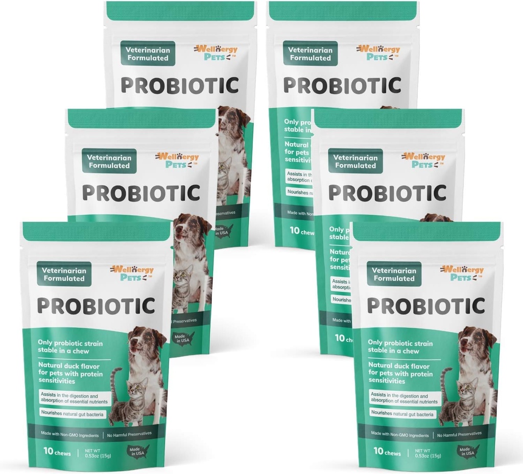 健康能量日报 Probiotic & Prebiotics Soft Chew for Dogs & Cats - 对腹泻,便秘,上胃,消化和气体的消化支持 - 帮助消化,过敏皮肤和免疫健康 60ct