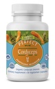 完美补品 – 完美 Cordyceps – 90 蔬菜卡普尔 – 有机适应性草药补品 – 增加能量,耐力和强度