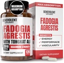 Fadogia Agrestis [最高纯度]1500mg + BioPerine + 与Tongkat Ali 的高度吸收补充 - 增加 Stamina, 精益肌肉生长和复苏, 靴子驱动 3 测试 120 盖