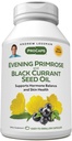 AndreW Lessman Evening Primrose and Black Currant Eil 60 Softgels - Soothes 生理不适和因月经循环而发生泥质挥动,有Gamma-Linolenic,Omega-6脂肪酸,无添加剂