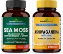 SANNDHHHERBALS 桑德胡草药海草药海草药海草药海草药海草药海草药海草药海草药海草药海草药海草药海草药海草药海草药海草药海草药海草药海草药海草药海草药海草药海草药海草药海草药海草药海草药海草药海草药海草药海草药海草药海草药海草药海草药海草药海草药海草药海草药海草药海草药海草药海草药海草药海草药海草药海草药海草药海草药海草药海草药海草药海草药海草药海草药海草药海草药海草药海草药海草药海草药海草药海草药海草药海草药海草药海草药海草药海草药海草药海草药海草药海草药海草药海草药海草药海草药海草药海草药海草药海药海