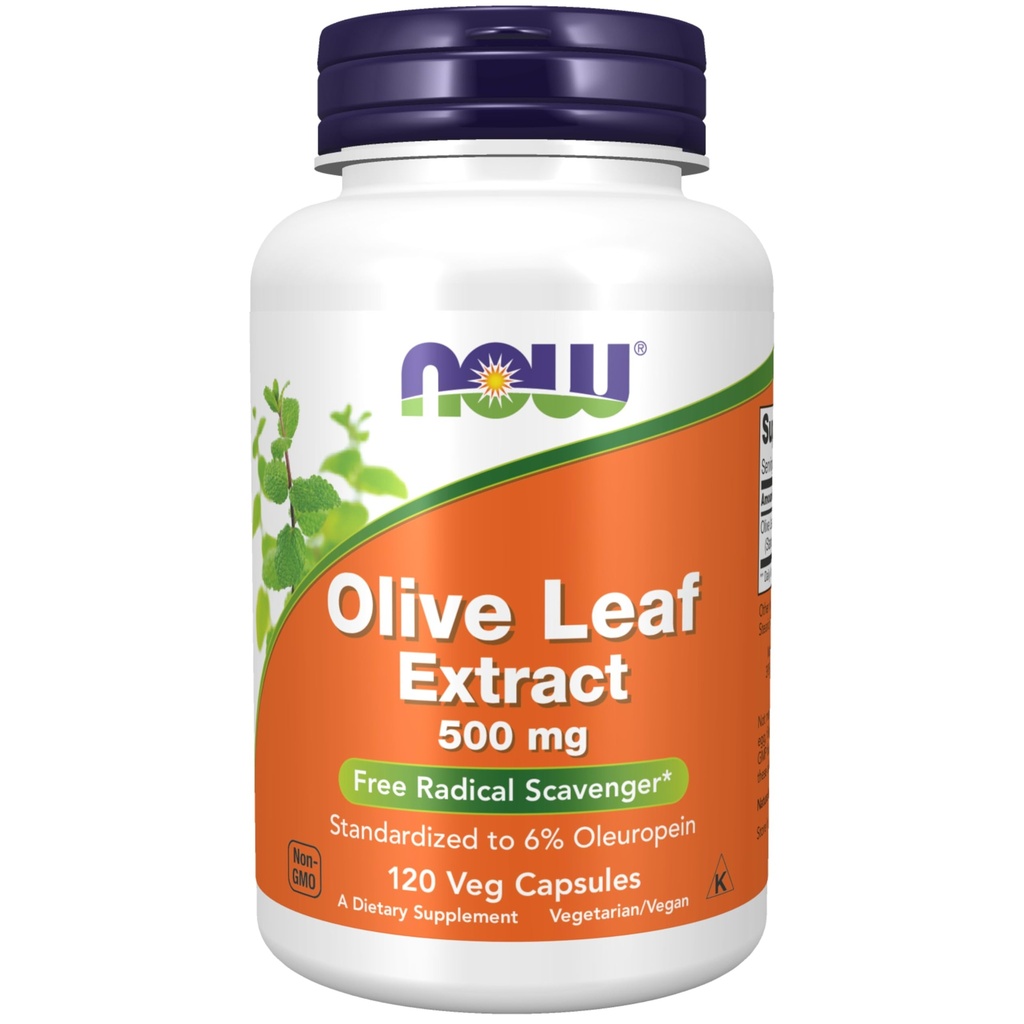 Now Foods Assupports, 橄榄叶提取500 mg, 自由激进的拾荒者*, 120 Veg Capsules