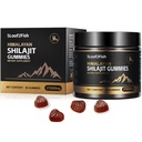 有机物 Shilajit Gummys,纯喜马拉雅 Shilajit Gummys for Men Supplement, Gold Shilajit Gummys for Women, Natural 85+ Track Minerals, Ashwagandha, 黑种子油提取, 90 Gummys